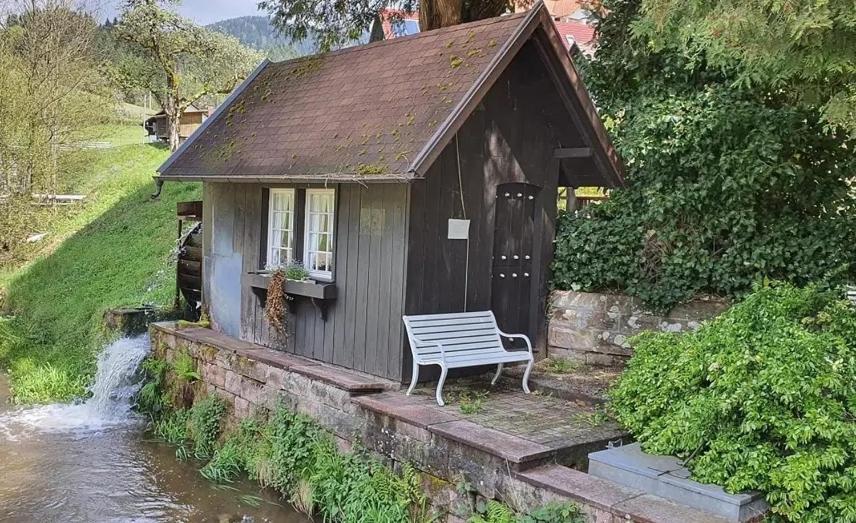 Schwarzwald Idyll 上哈尔默斯巴赫 外观 照片